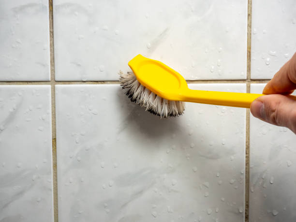 Best Post-Flood Mold Remediation in Heidelberg, TX