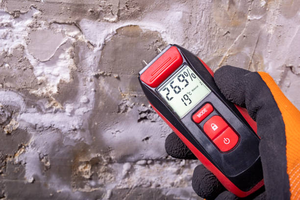 Trusted Heidelberg, TX Mold Remediation Experts