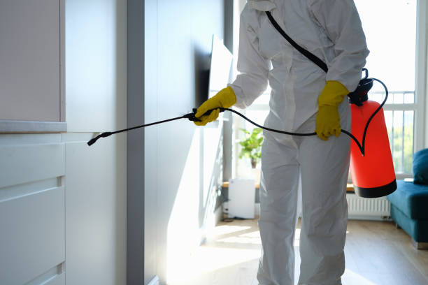 Best HVAC Mold Remediation in Heidelberg, TX