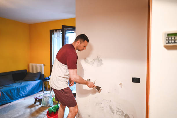 Best Preventive Mold Services in Heidelberg, TX